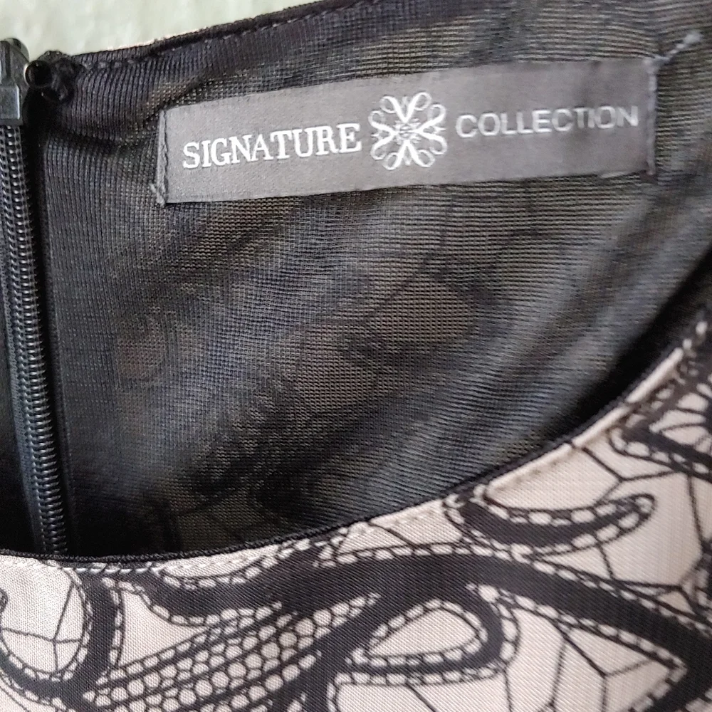 Top - Picture 6 of 7